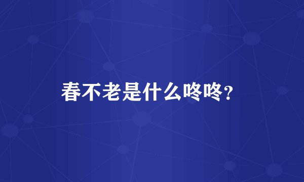 春不老是什么咚咚？