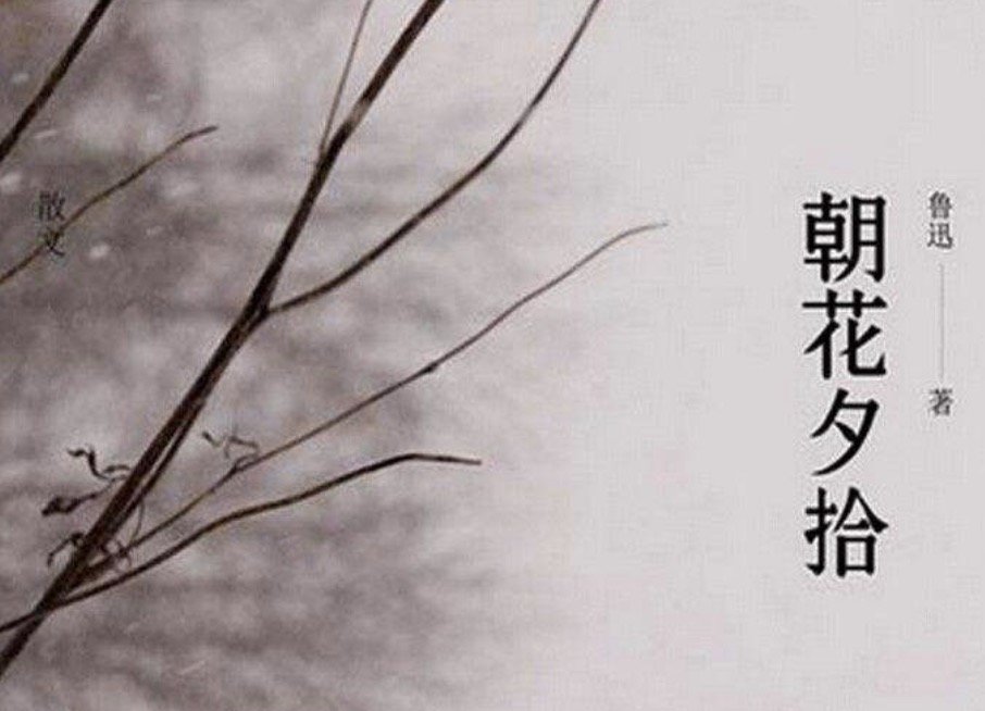 朝花夕拾 中鲁迅对长妈妈，寿镜吾，藤野先生分别具有怎样的情感