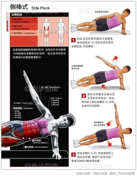如何练习腹内斜肌和腹外斜肌，腹外斜肌是长在外侧肋骨上一条一条的吗，谢谢