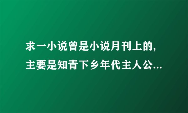 求一小说曾是小说月刊上的,主要是知青下乡年代主人公叫成功，和村支书老婆有情，最后村支书老婆上吊自杀