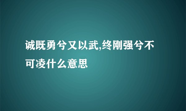 诚既勇兮又以武,终刚强兮不可凌什么意思