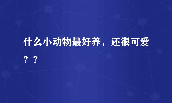 什么小动物最好养，还很可爱？？