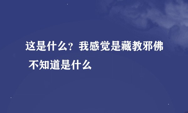这是什么？我感觉是藏教邪佛 不知道是什么
