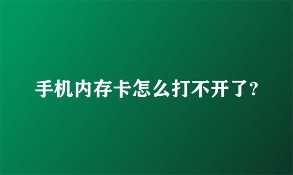 手机内存卡怎么打不开了?