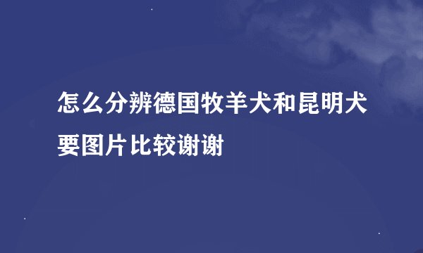 怎么分辨德国牧羊犬和昆明犬要图片比较谢谢