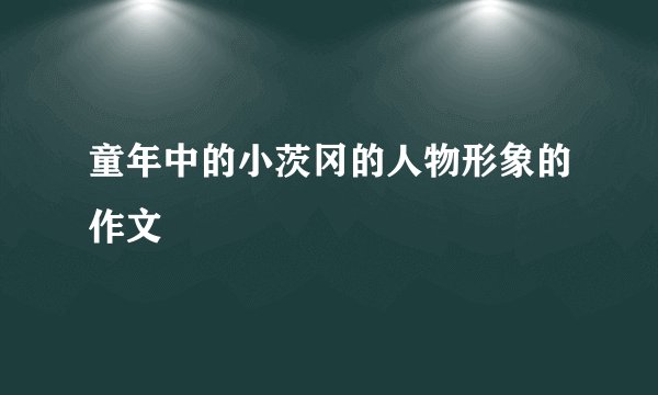 童年中的小茨冈的人物形象的作文