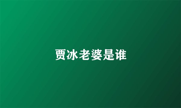 贾冰老婆是谁
