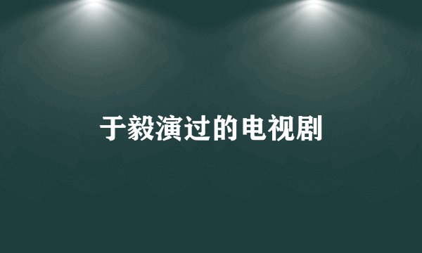 于毅演过的电视剧