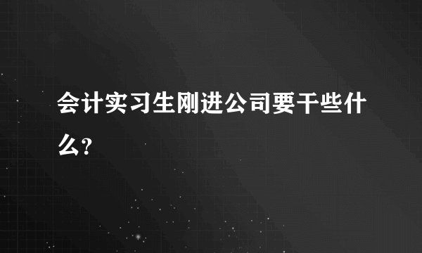 会计实习生刚进公司要干些什么？