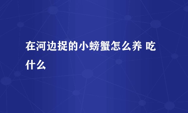 在河边捉的小螃蟹怎么养 吃什么
