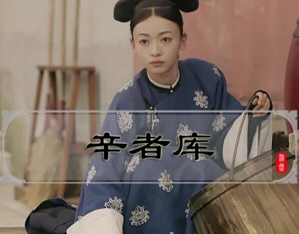 康熙骂胤禩是辛者库贱妇所生，辛者库是什么意思