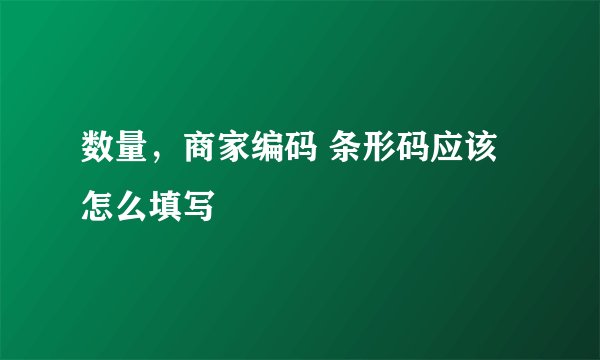 数量，商家编码 条形码应该怎么填写