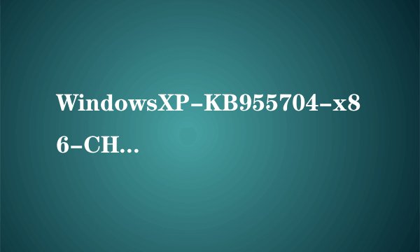WindowsXP-KB955704-x86-CHS.exe补丁我已经打上去，为什么还是打不开 EXFAT格式的 U盘，