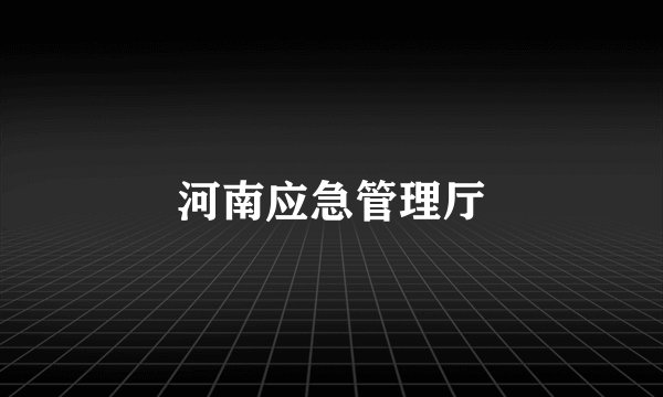 河南应急管理厅