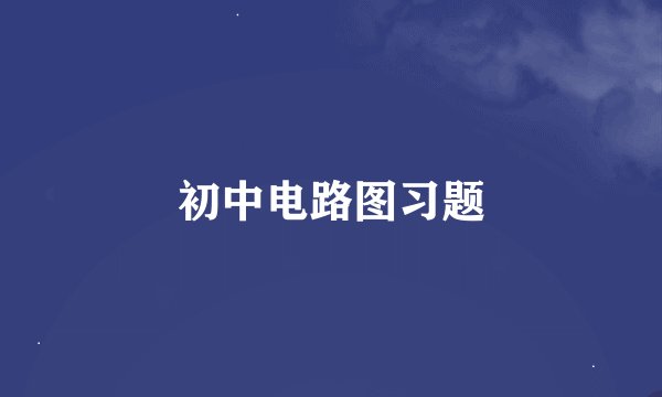 初中电路图习题