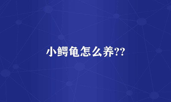 小鳄龟怎么养??