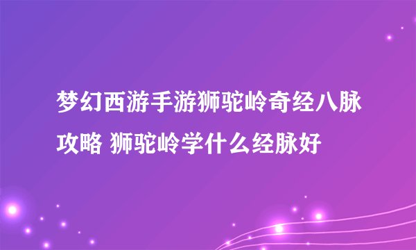 梦幻西游手游狮驼岭奇经八脉攻略 狮驼岭学什么经脉好
