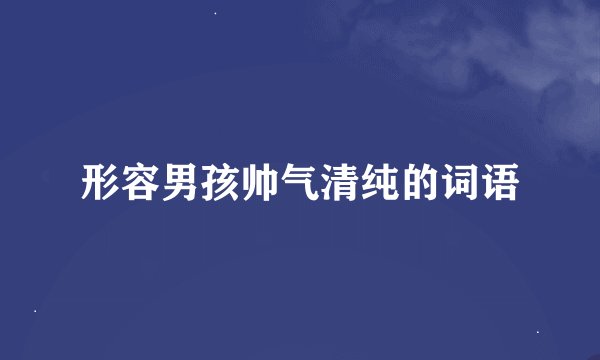 形容男孩帅气清纯的词语