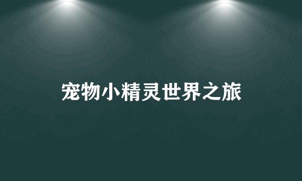 宠物小精灵世界之旅