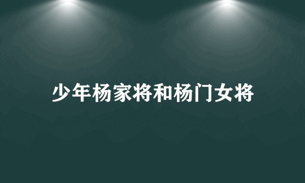 少年杨家将和杨门女将