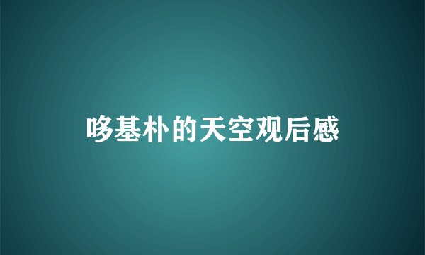哆基朴的天空观后感