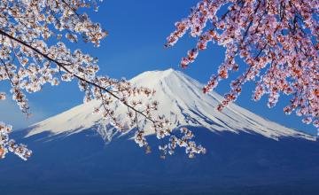 日本个人旅游签证 日本签证费用