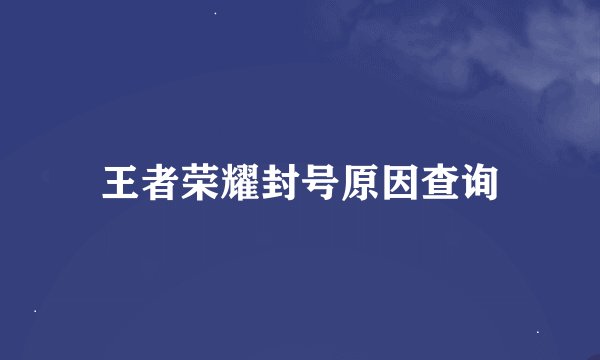 王者荣耀封号原因查询