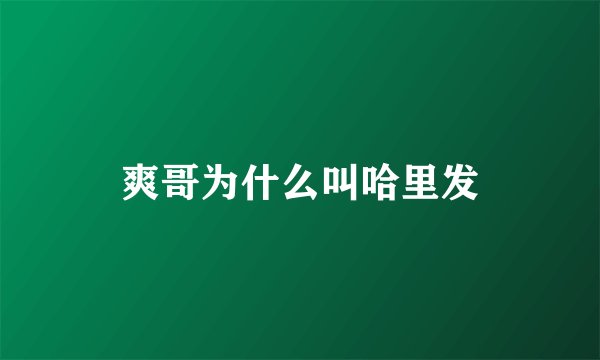 爽哥为什么叫哈里发