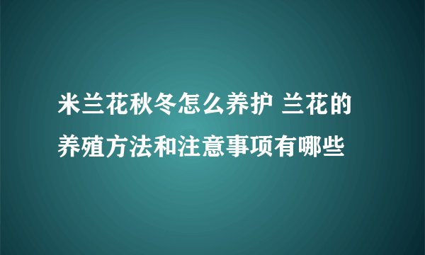 米兰花秋冬怎么养护 兰花的养殖方法和注意事项有哪些