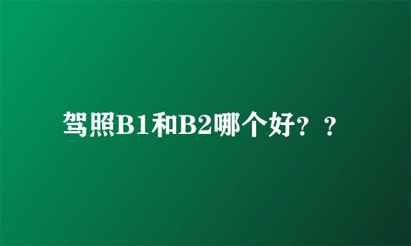 驾照B1和B2哪个好？？