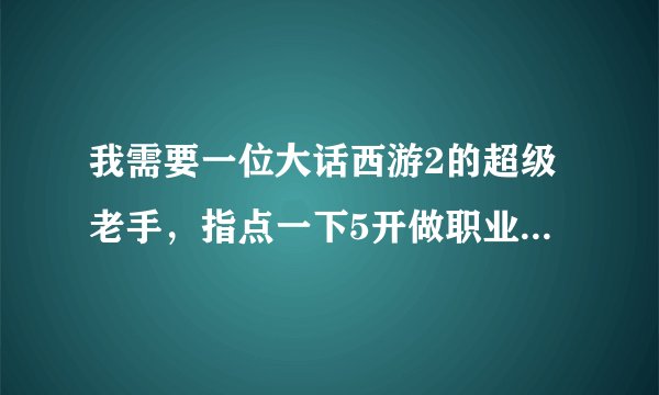 我需要一位大话西游2的超级老手，指点一下5开做职业如何赚钱。不要一知半解的回答，我是个新手，希望谅解