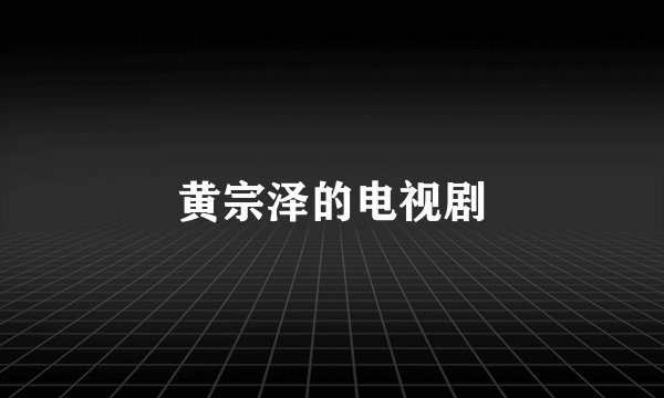 黄宗泽的电视剧
