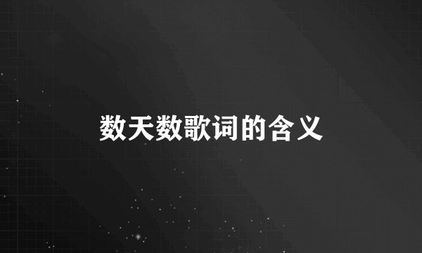 数天数歌词的含义