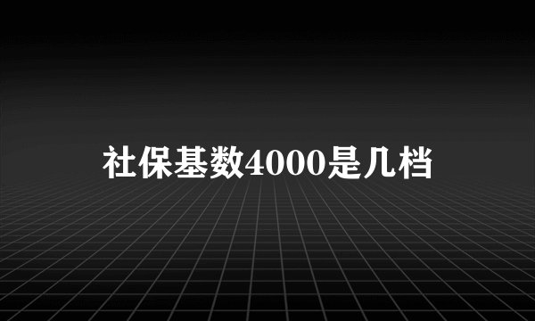 社保基数4000是几档