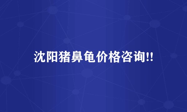 沈阳猪鼻龟价格咨询!!