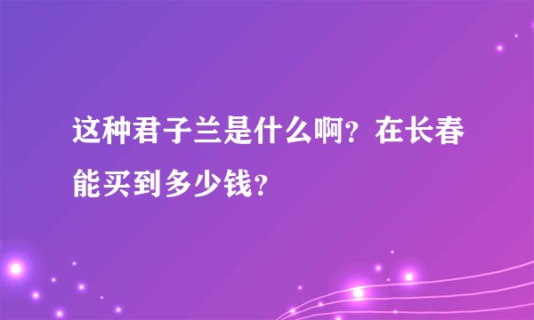 这种君子兰是什么啊？在长春能买到多少钱？