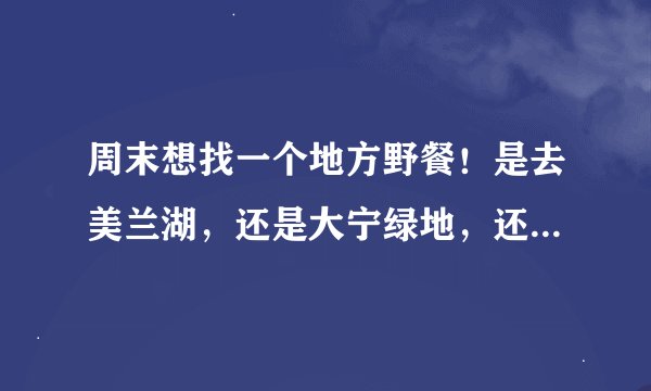 周末想找一个地方野餐！是去美兰湖，还是大宁绿地，还是世纪公园好啊？还是大家有什么好的地方介绍一下！