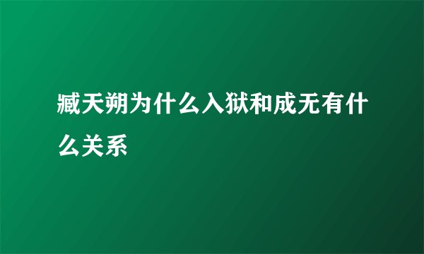 臧天朔为什么入狱和成无有什么关系