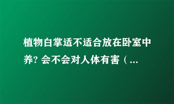 植物白掌适不适合放在卧室中养? 会不会对人体有害（或者风水方面）?