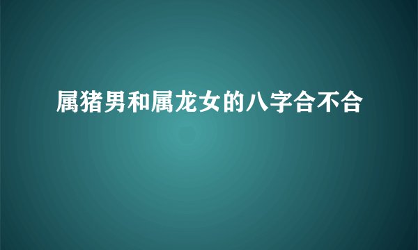 属猪男和属龙女的八字合不合