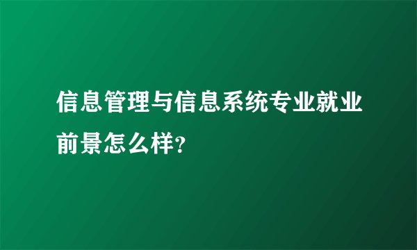 信息管理与信息系统专业就业前景怎么样？