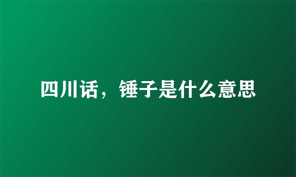 四川话，锤子是什么意思