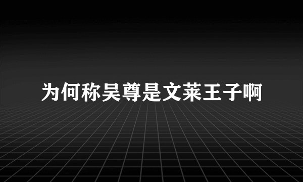 为何称吴尊是文莱王子啊