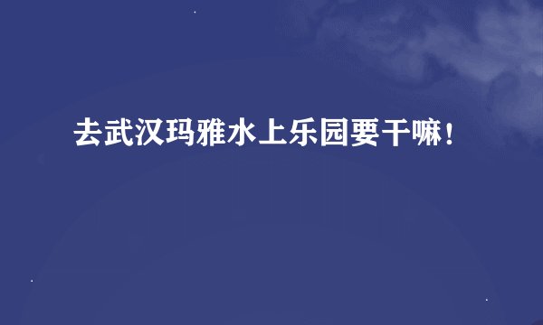 去武汉玛雅水上乐园要干嘛！