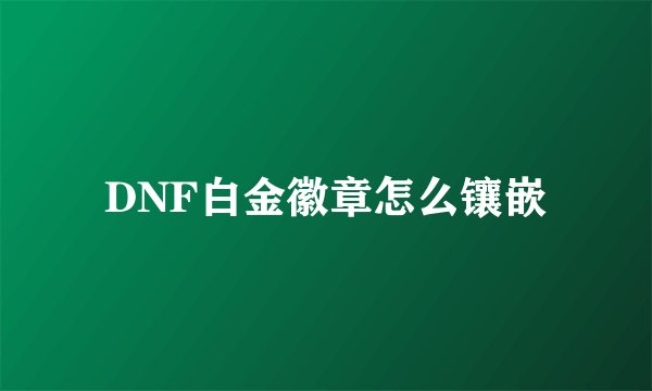 DNF白金徽章怎么镶嵌