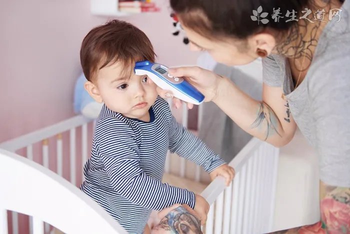 关于母犬生理期的小知识