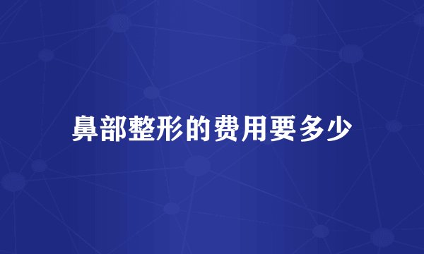 鼻部整形的费用要多少