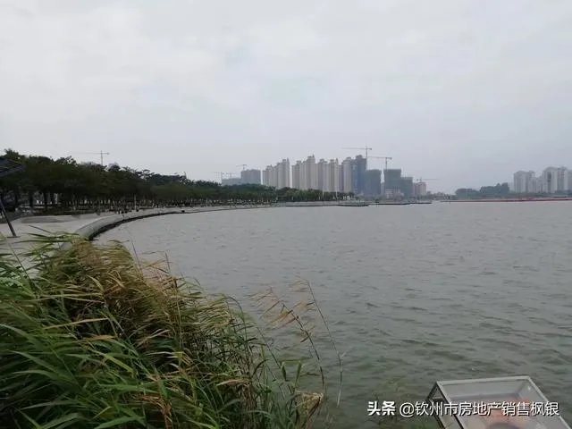 广西钦州大发展