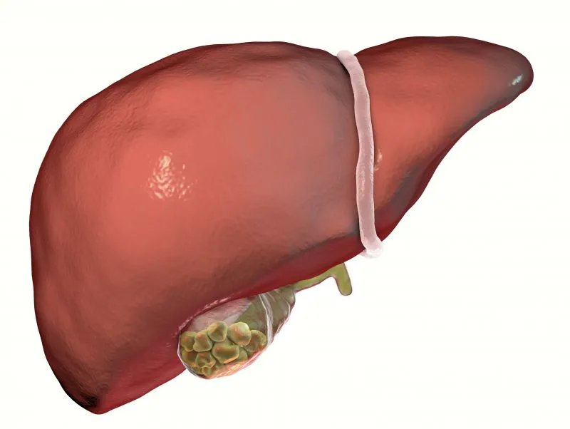 脂肪肝食疗方式
