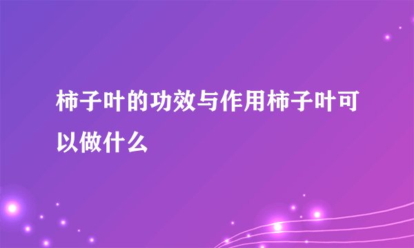 柿子叶的功效与作用柿子叶可以做什么